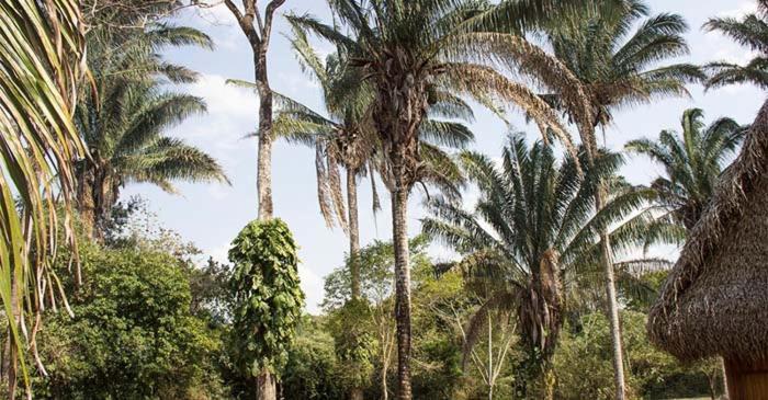 Savanna Orinoquia Lodge Orocué Екстериор снимка